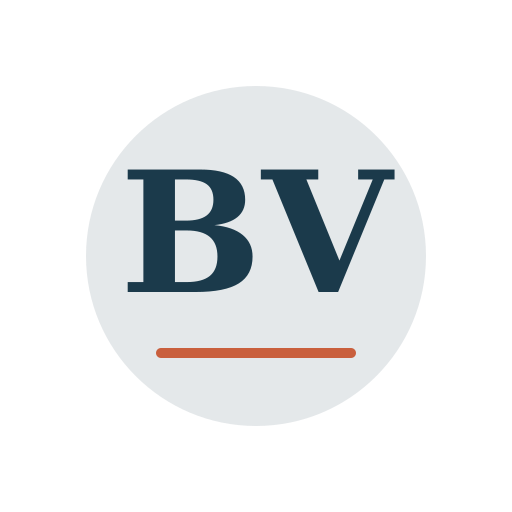 Bright View Air Duct Services logo